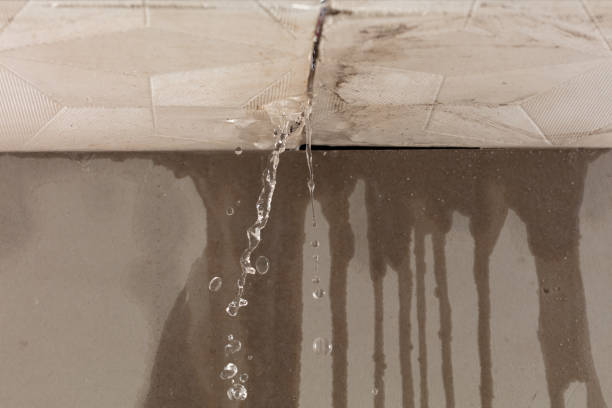 Professional Structural Drying technician working in South Cairo, NY